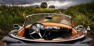 Bild_Auto Cabrio Wiese