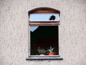 Bild_glasversicherung kaputtes fenster